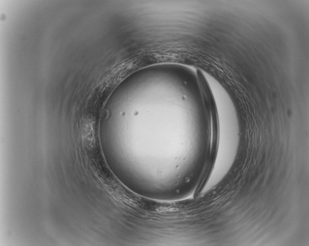 X0000060240699200510311522