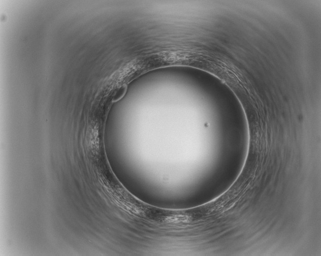 X0000060240700200510311522