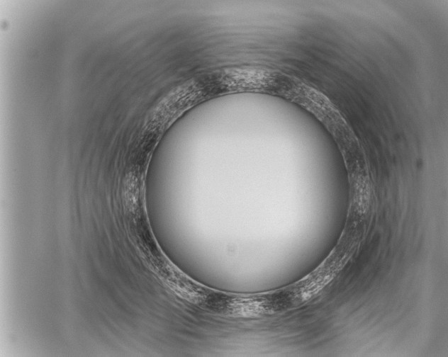 X0000060240701200510311522