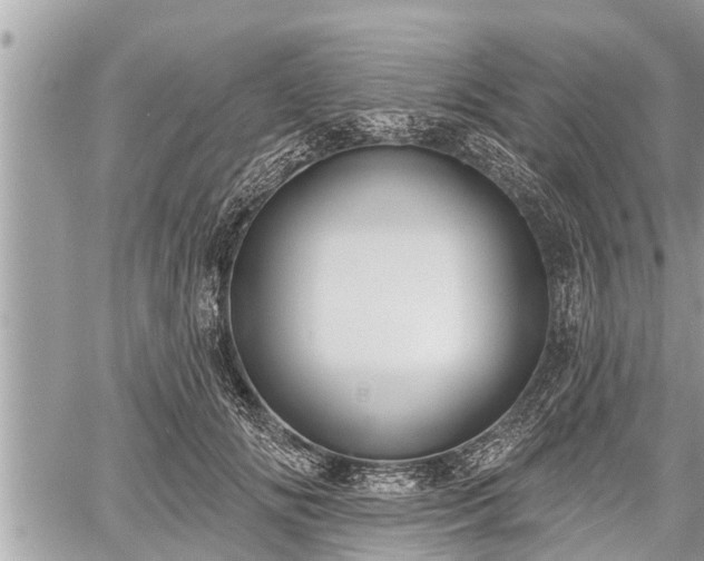 X0000060240702200510311522