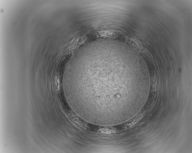 X0000060240703200510311522