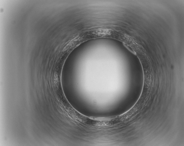 X0000060240704200510311522