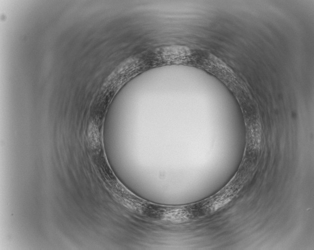 X0000060240705200510311522