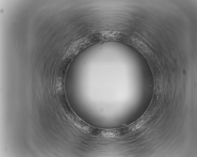 X0000060240706200510311522