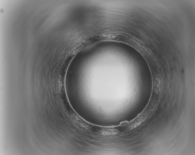 X0000060240707200510311522