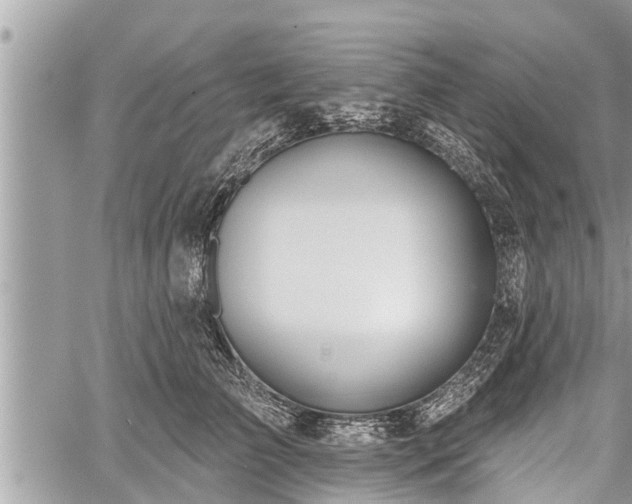 X0000060240709200510311522