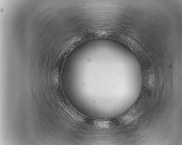 X0000060240710200510311522