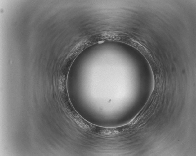 X0000060240712200510311522