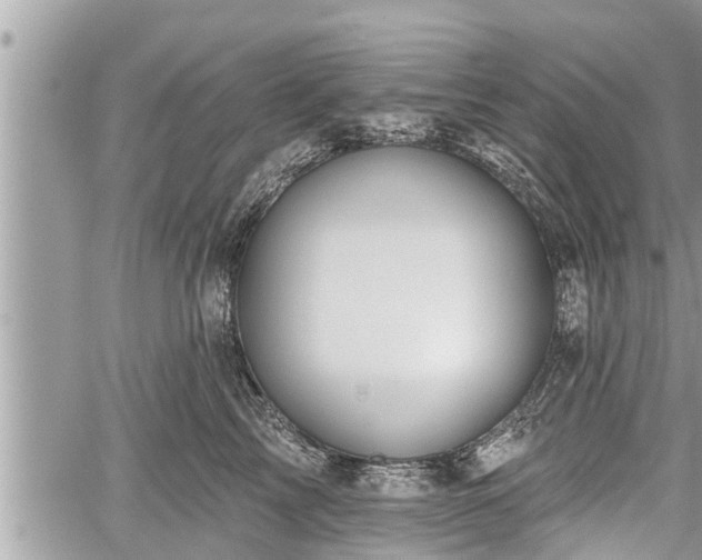 X0000060240713200510311522