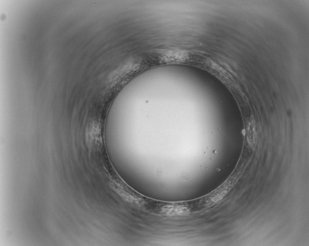 X0000060240714200510311522