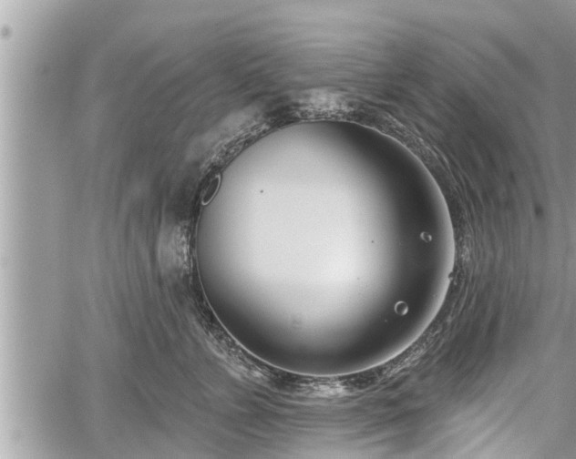 X0000060240715200510311522