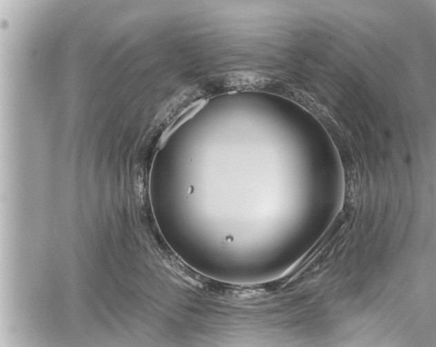 X0000060240716200510311522