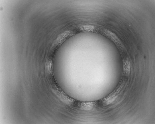 X0000060240717200510311522