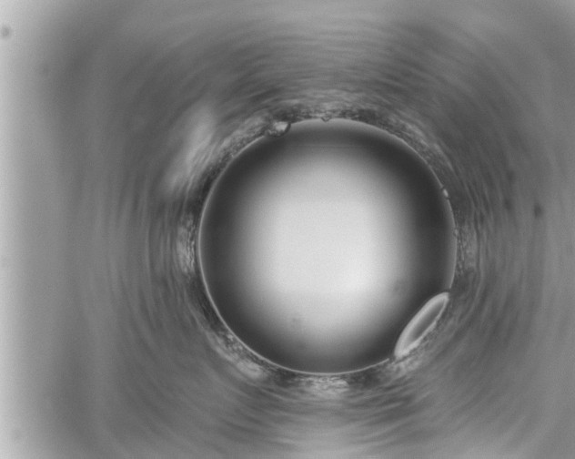 X0000060240719200510311522