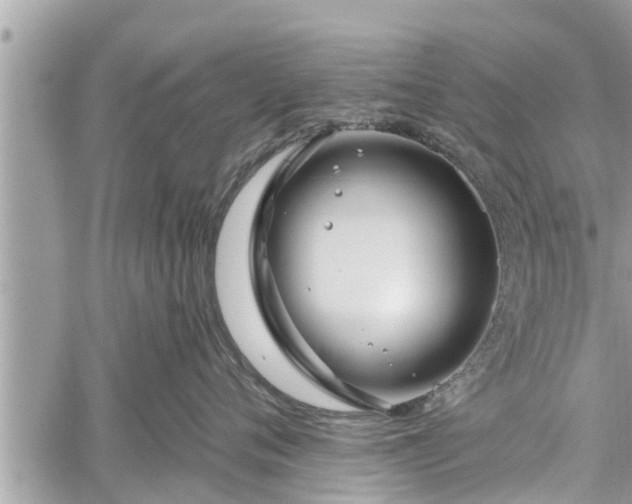 X0000060240720200510311522