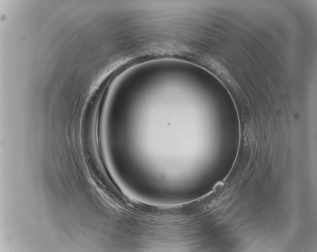 X0000060240722200510311521