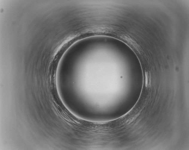 X0000060240723200510311521