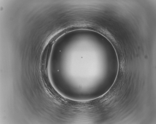 X0000060240724200510311521