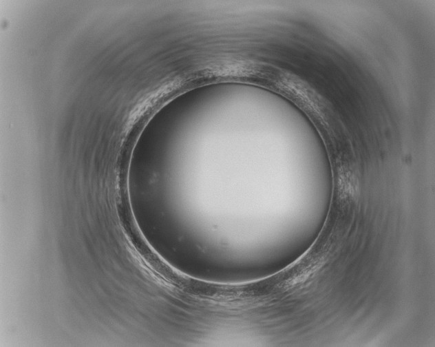 X0000060240725200510311521