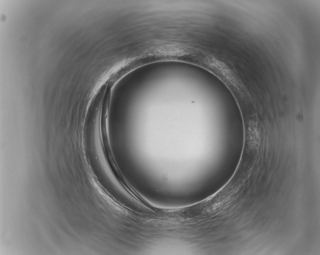 X0000060240726200510311521