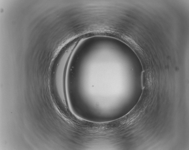 X0000060240728200510311521