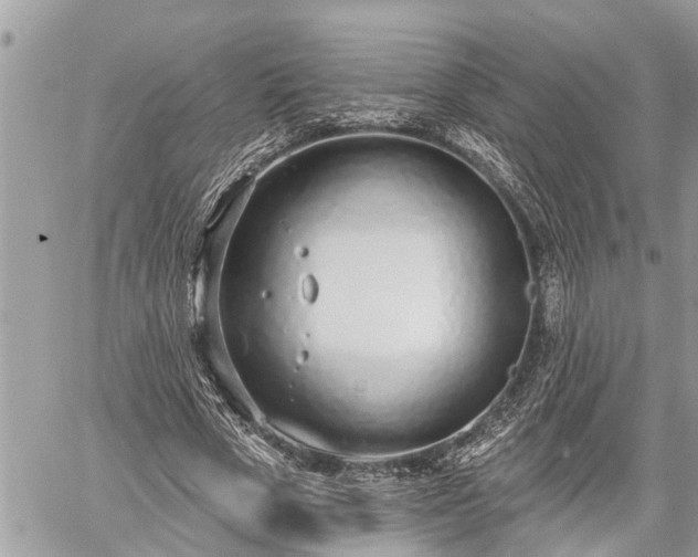 X0000060240729200510311521