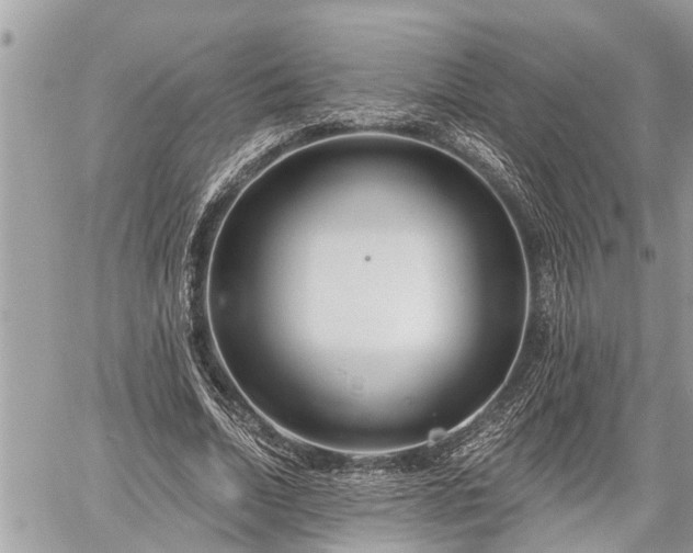 X0000060240730200510311521