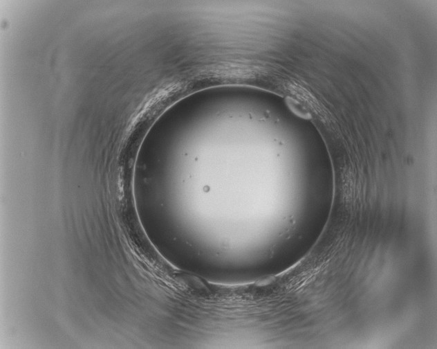 X0000060240731200510311521