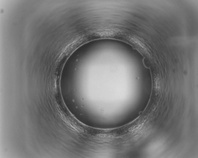 X0000060240733200510311521