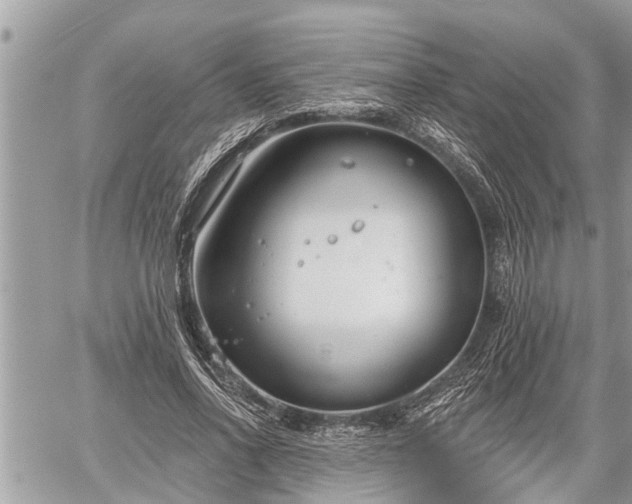 X0000060240734200510311521