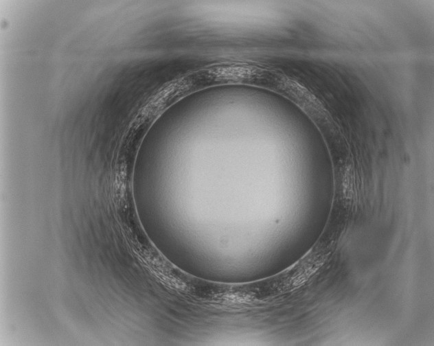 X0000060240737200510311521