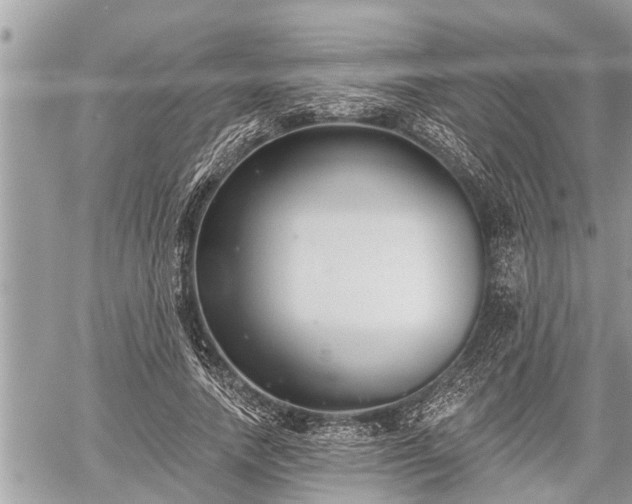 X0000060240738200510311521