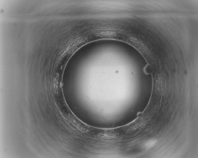 X0000060240739200510311521