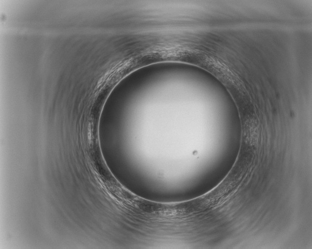 X0000060240740200510311521