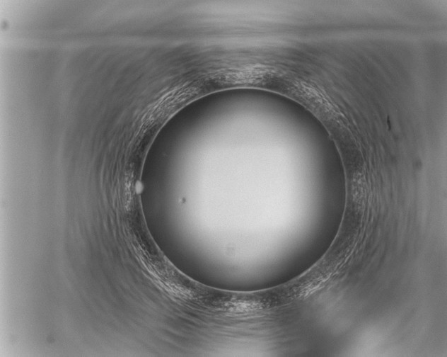 X0000060240741200510311521