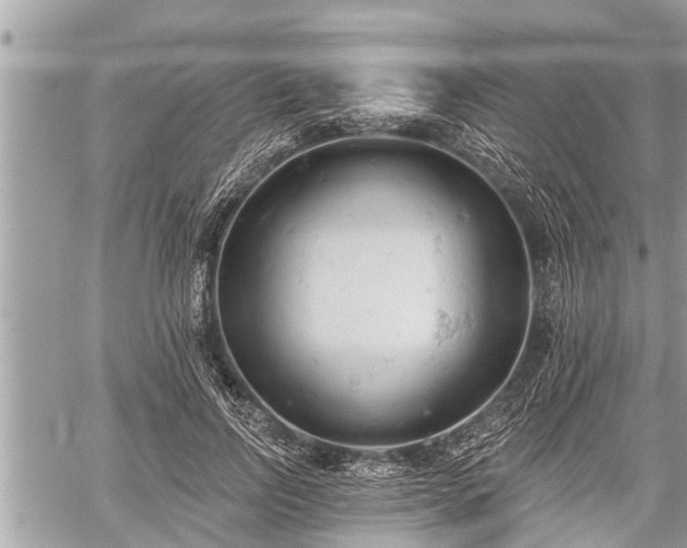 X0000060240742200510311521