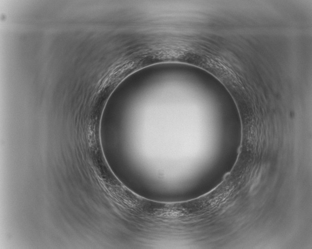 X0000060240743200510311521