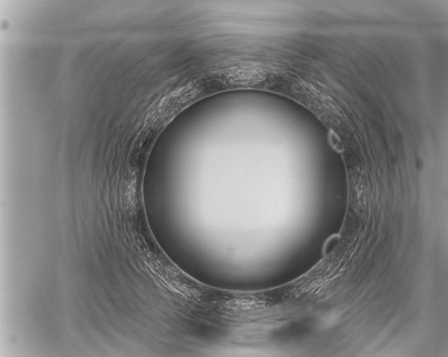 X0000060240745200510311521