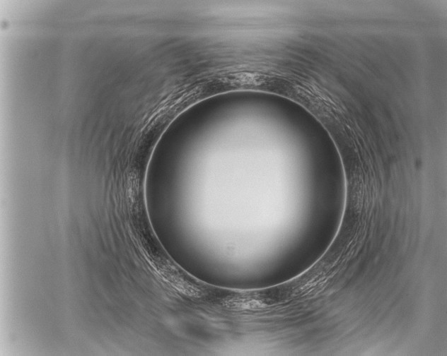 X0000060240747200510311521