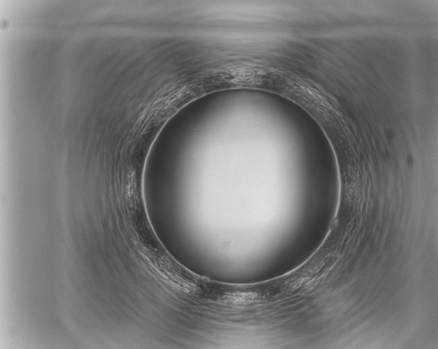 X0000060240748200510311522