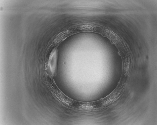 X0000060240749200510311522