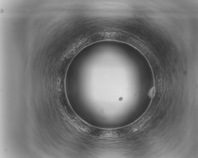 X0000060240750200510311522