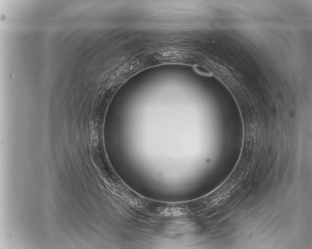 X0000060240751200510311522