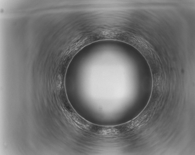 X0000060240752200510311522