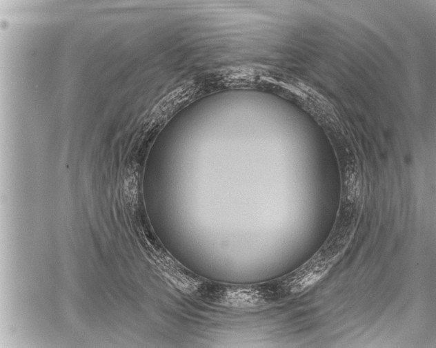 X0000060240753200510311522