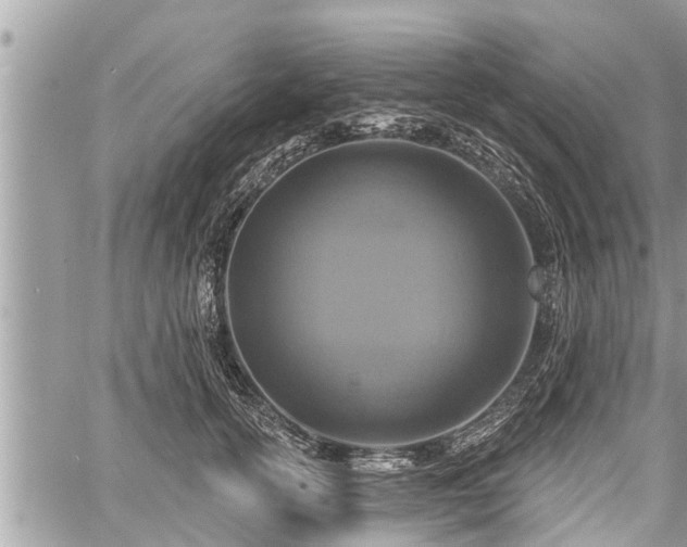 X0000060240754200510311522