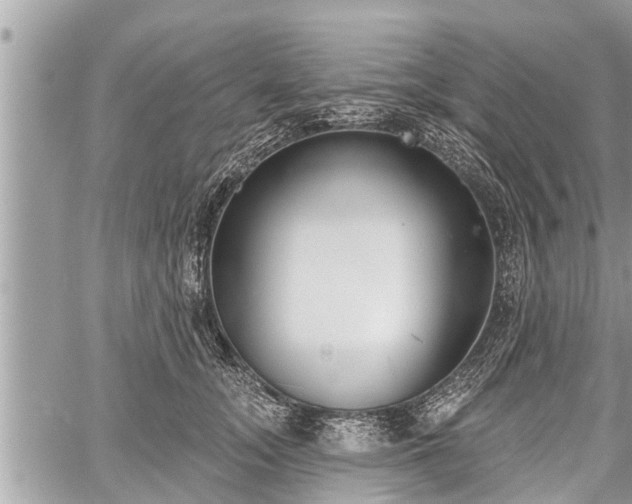 X0000060240755200510311522