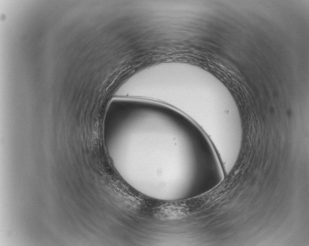 X0000060240756200510311522