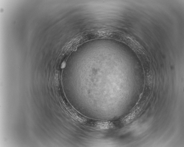 X0000060240757200510311522