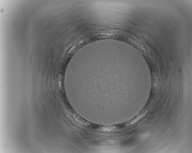 X0000060240758200510311522